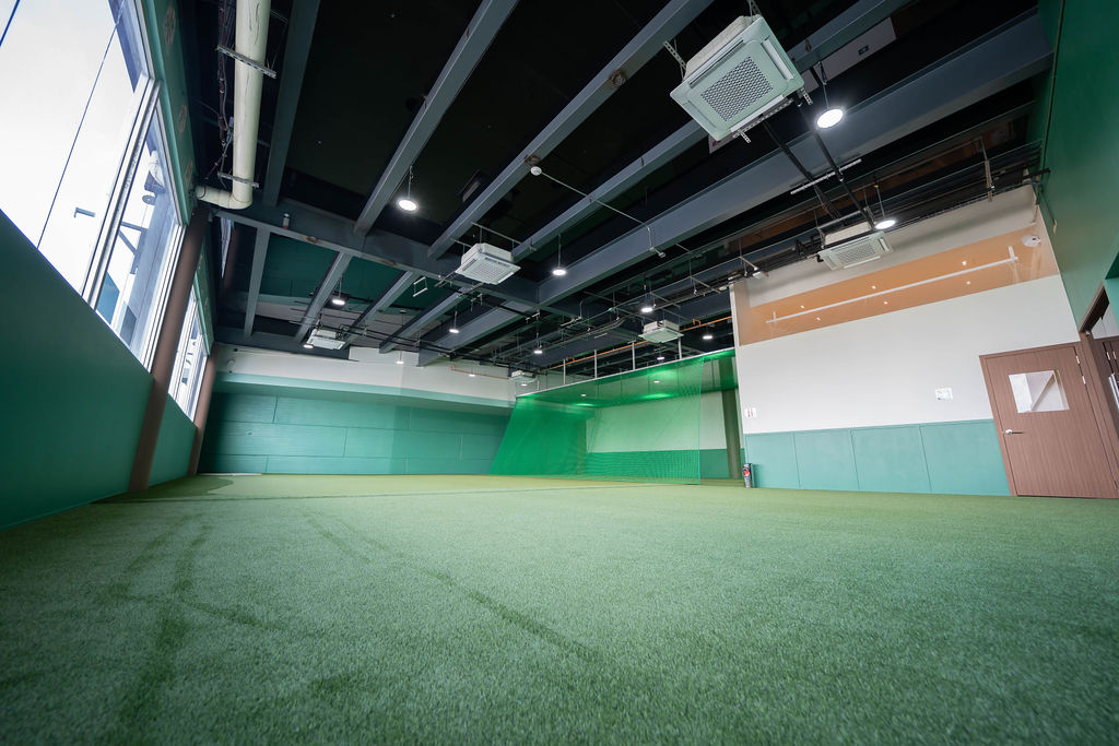 Zona short game cover